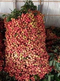 Natural picture-[Superstar.wapath.com] 1